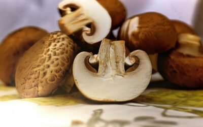 Les bienfaits des champignons médicinaux